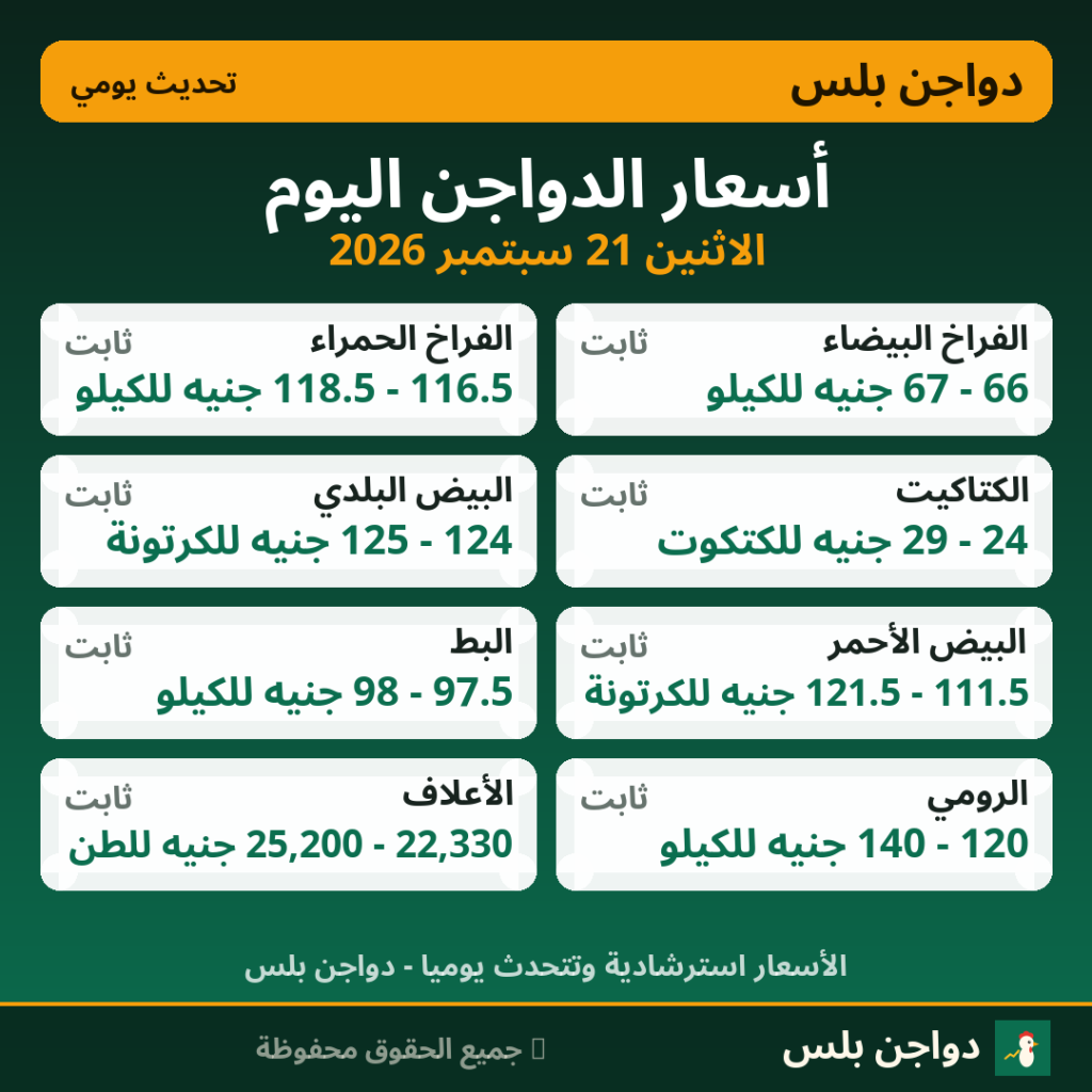 أسعار الدواجن اليوم الاثنين 21 سبتمبر 2026
