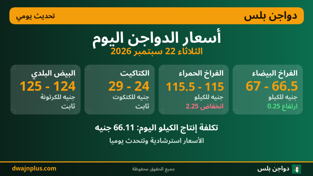 أسعار الدواجن اليوم الثلاثاء 22 سبتمبر 2026