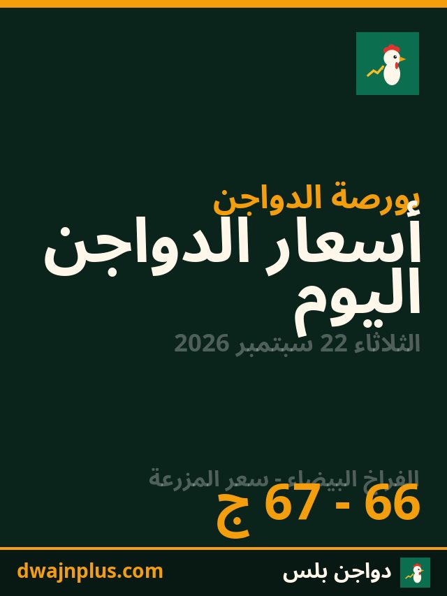 أسعار الدواجن يوم 22 سبتمبر 2026