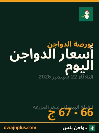 أسعار الدواجن يوم 22 سبتمبر 2026